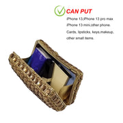 Crystal Evening Clutch Bag